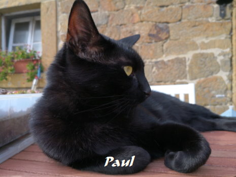 Paul02