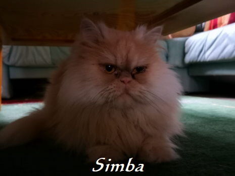 Simba02